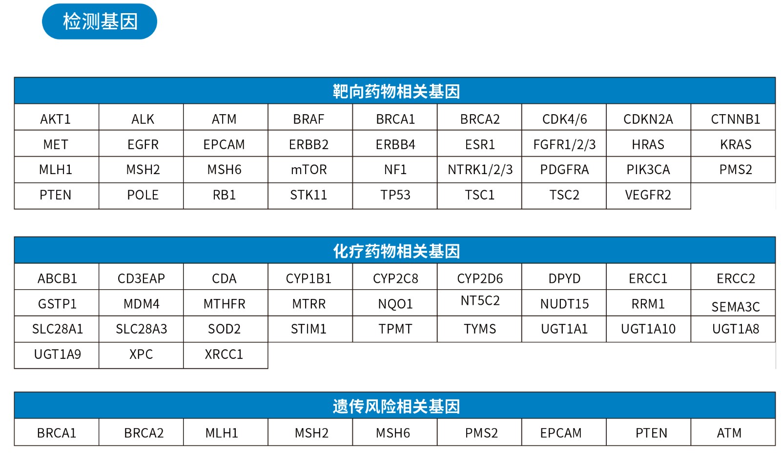 檢測內(nèi)容.jpg
